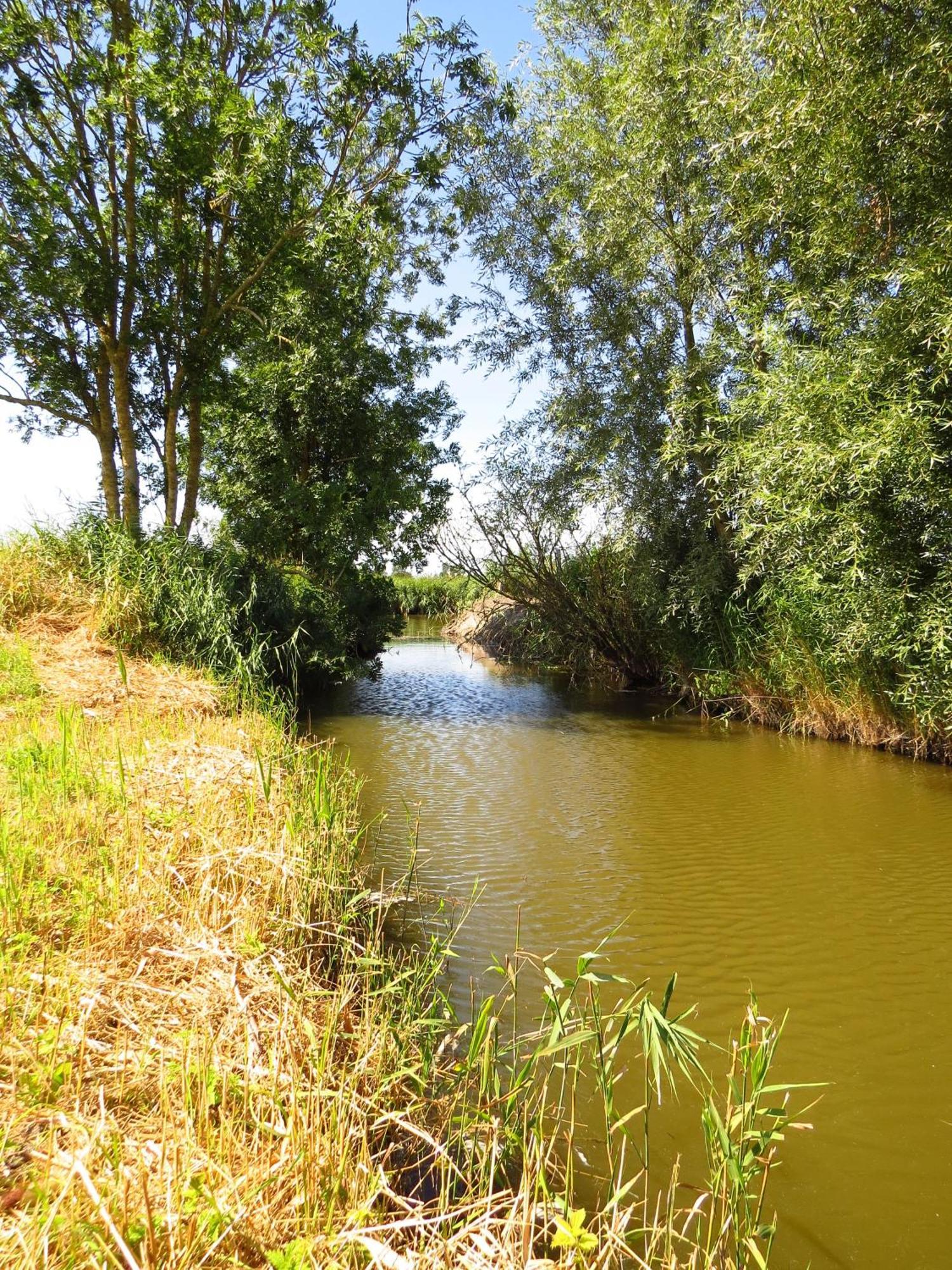 Holiday Home 'T Hof Der Witte Damen Veurne Bagian luar foto
